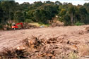 flagstaff golf course 16th before