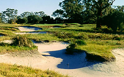 Kingston Heath